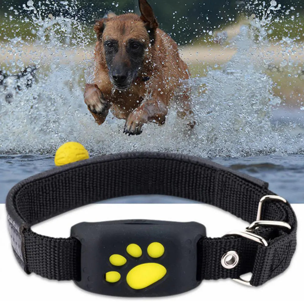 Pet Tracker