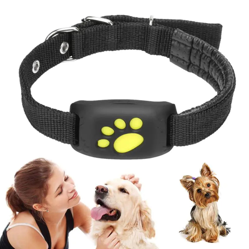 Pet Tracker