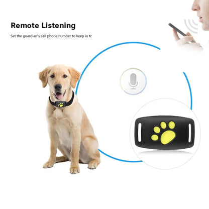 Pet Tracker